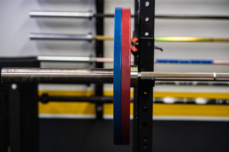 rogue Calibrated Steel Powerlifting Plates on a squat rack