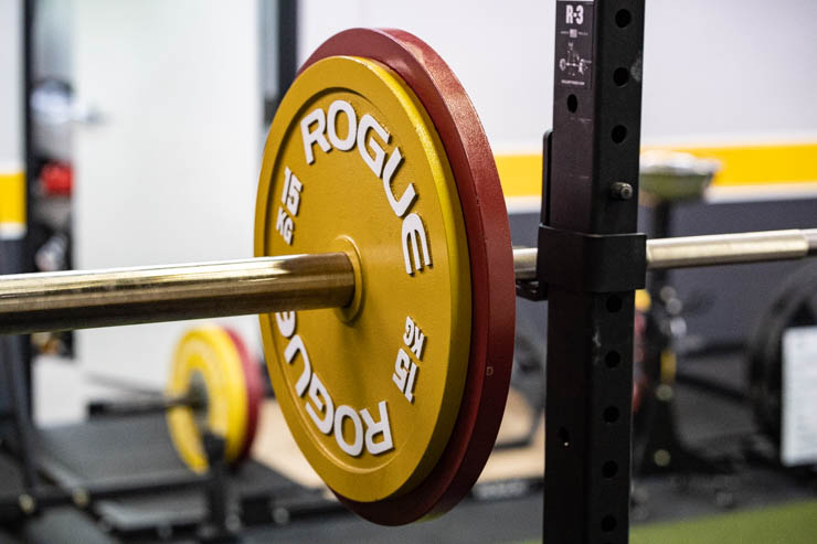 rouge 15 kg bumper plates on a barbell