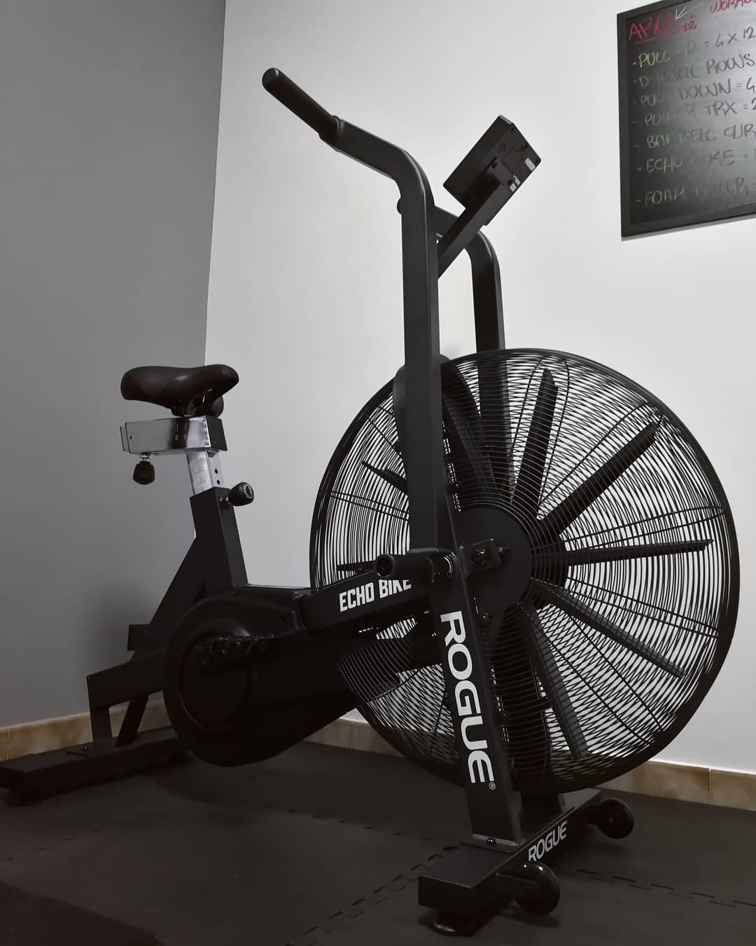 Rogue Echo Air Bike Released Garage Gym Reviews