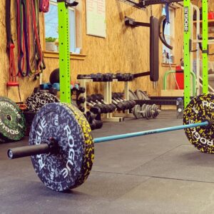 Rogue Fleck Bumper Plates