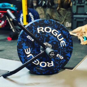 Rogue Fleck Bumper Plates