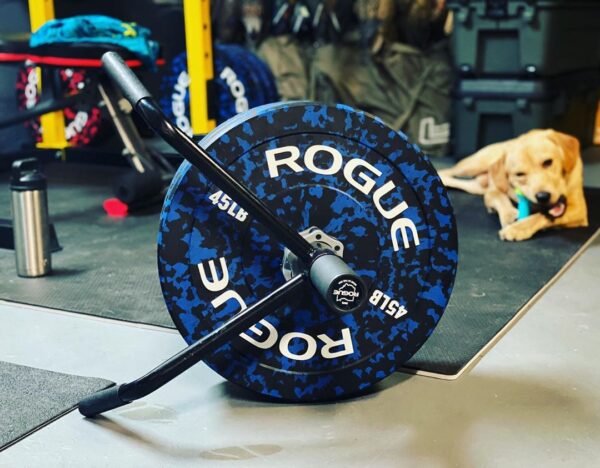 Rogue Fleck Bumper Plates