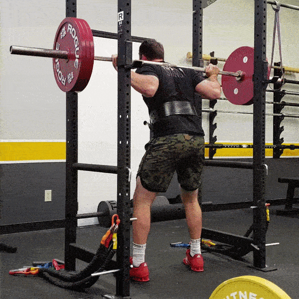Rogue Calibrated Steel Powerlifting Plates Review 2024 Garage