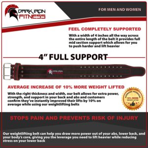 Dark Iron Fitness Power Belt