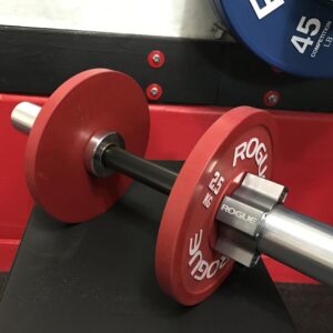 Rogue loadable dumbbell