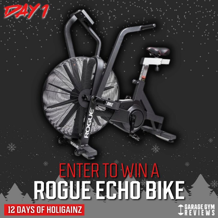 12 Days of HoliGAINZ Rogue giveaway