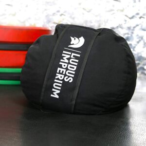 Ludus Imperium Strongman Sandbags