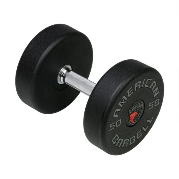 American Barbell Series I Dumbbells Garage Gym Reviews