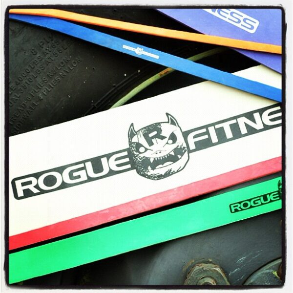 Rogue Shorty Monster Bands