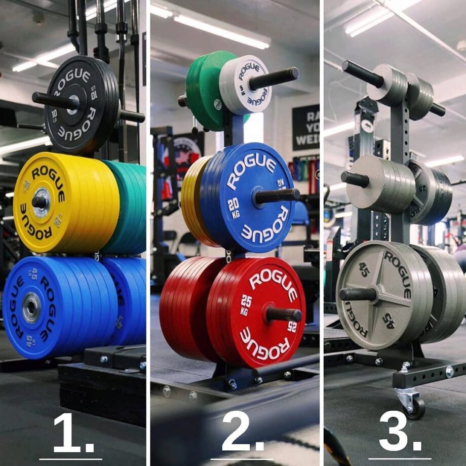 Our Picks for the Best Plate Tree for a Home Gym (2025)