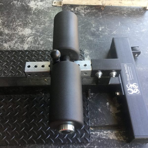 Edge Fitness Systems Standing Back Extension