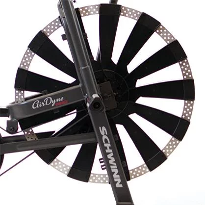 Schwinn AD7 Airdyne Pro Air Bike