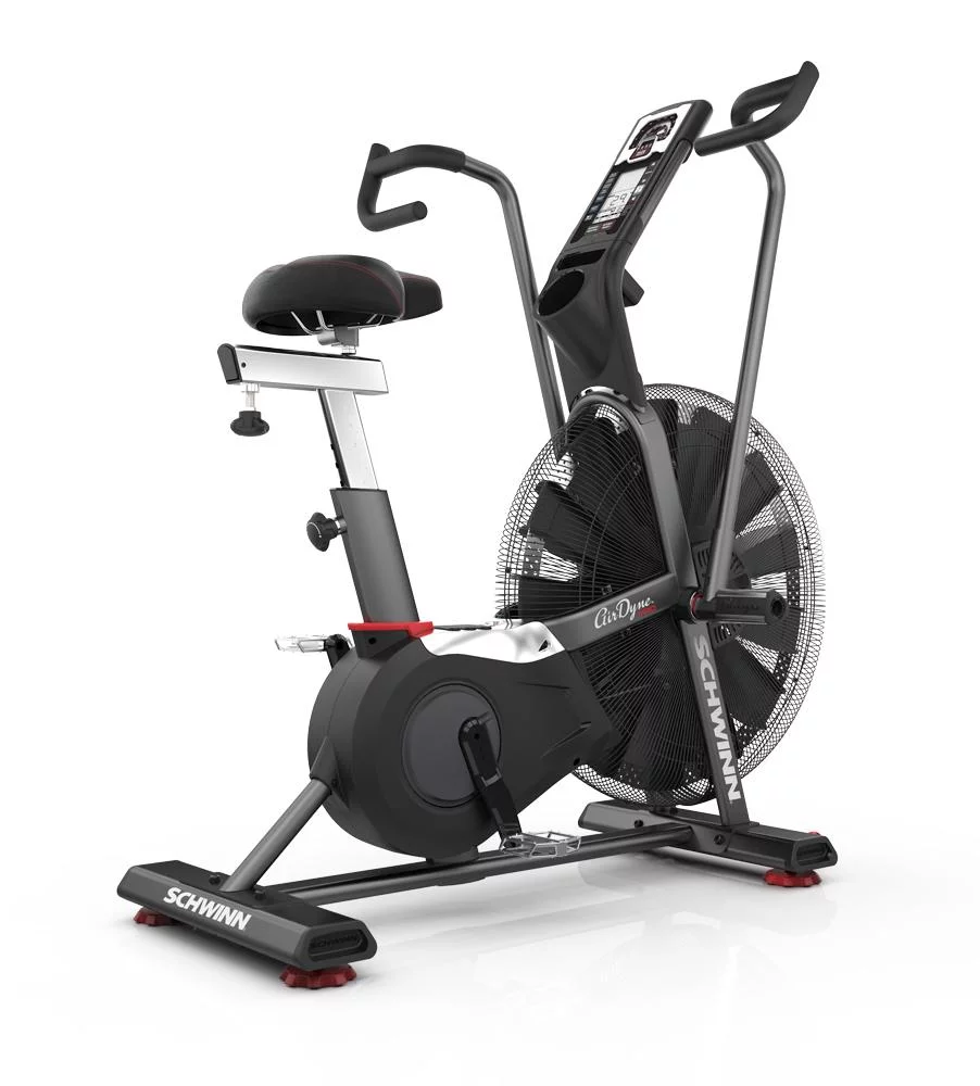 Schwinn AD7 Airdyne Pro Air Bike