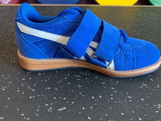 Do-Win Classic Lifter review