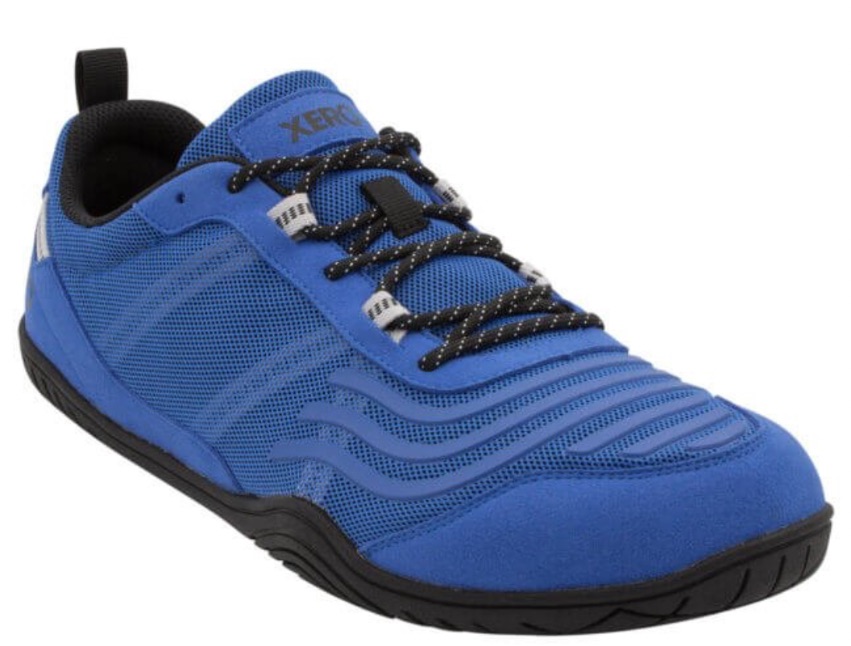 Xero 360 Shoes in blue/black