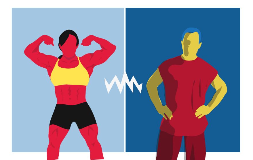 A graphic comparing bulking and cutting