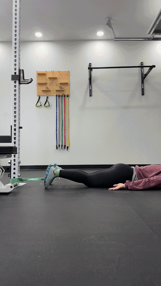 Looking for a Deadlift Alternative? 9 Options Here | Garage Gym Reviews