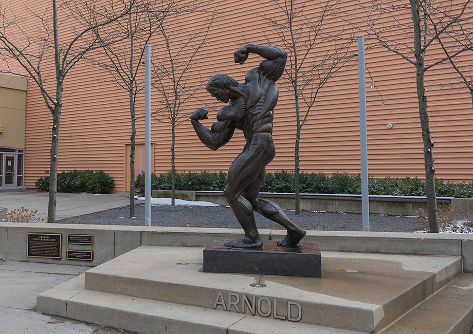 Arnold’s Arm Workout: The Ultimate Sleeve Pump