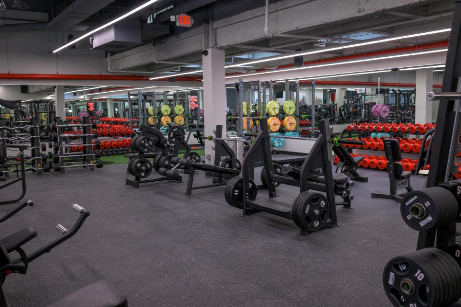 Gym Bro Fitness Coupon Code (2025): Save with an Exclusive Code and More