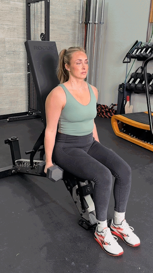 dumbbell hammer curl variations seated incline cable