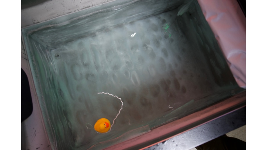 Duck thermometer floats in the Sun Home Sauna Cold Plunge Pro.