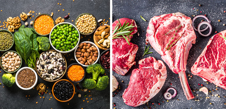 Plant Protein Vs Animal Protein: What’s the Difference?