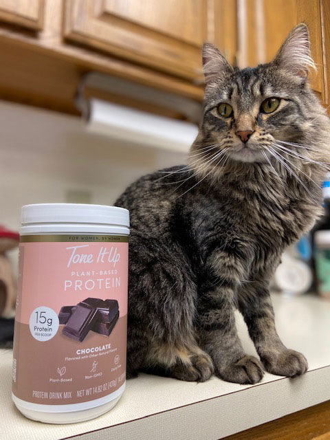 tone-it-up-protein-next-to-kitten