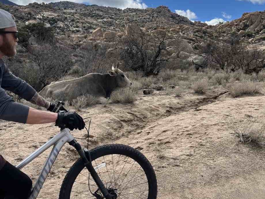 The Best Gravel Bikes of 2025: Coaches, Athletes, and Shop Owners Recommend These Bikes