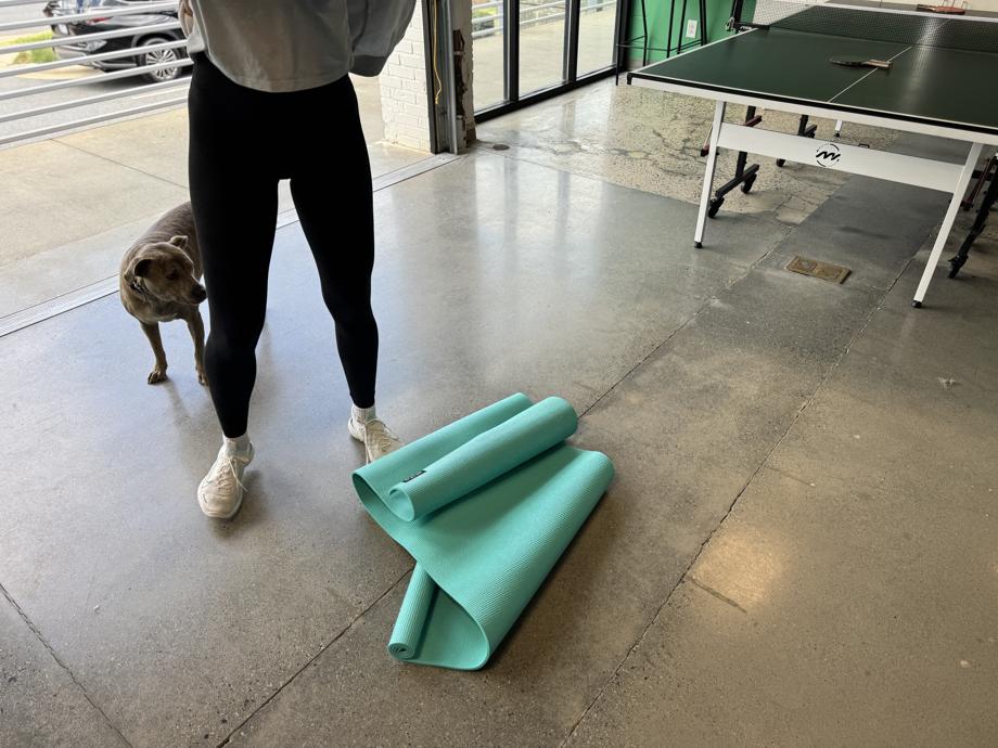 Our tester stands with a dog over a crumpled Aeromat Elite Yoga Mat