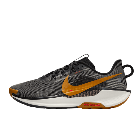 Nike Pegasus Trail 5