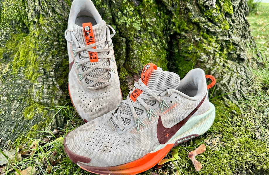 The Nike Pegasus Trail 5 trail running shoes sitting next to a tree