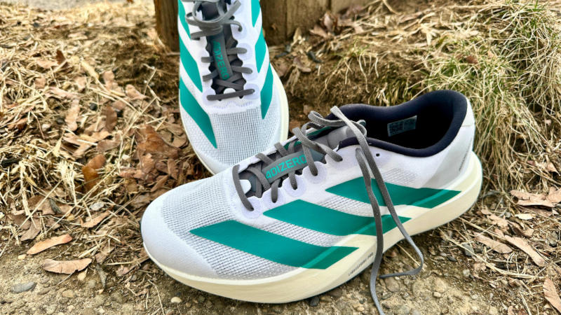 A pair of adidas Adizero EVO SL running shoes in dry grass