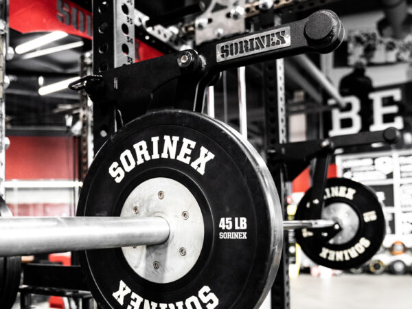 Sorinex Mono Lift Arms Garage Gym Reviews