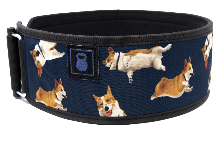 Weightlifting belt with cute corgis.