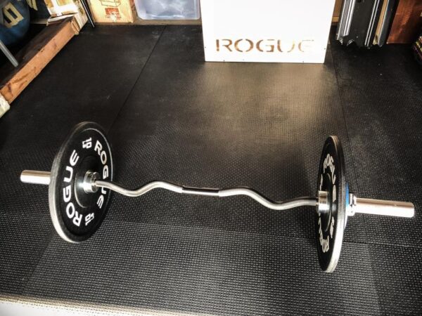 Rogue shop curl bar