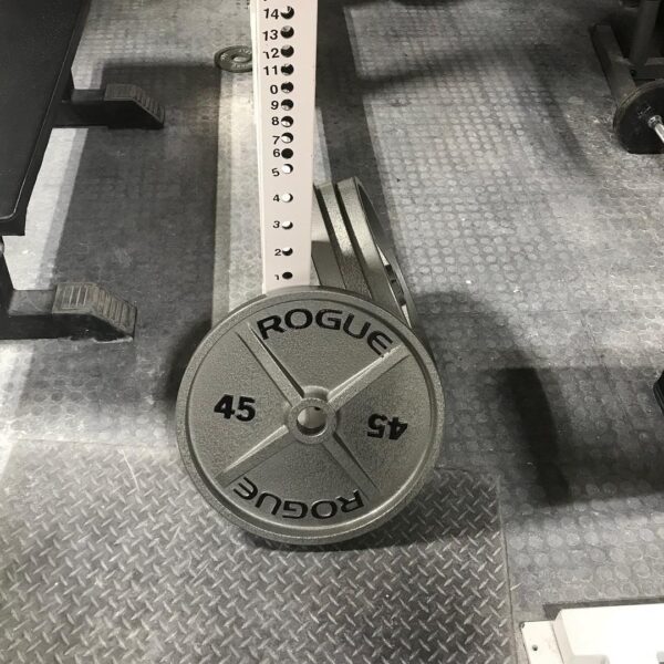 Rogue metal online plates