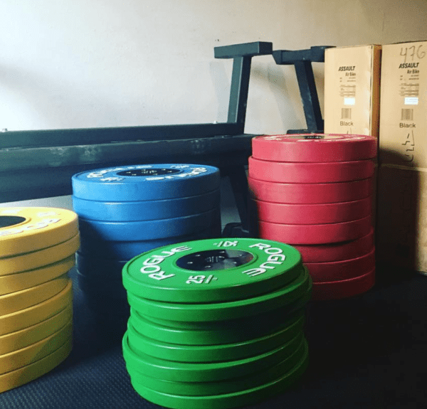 Rogue KG Competition Bumper Plates