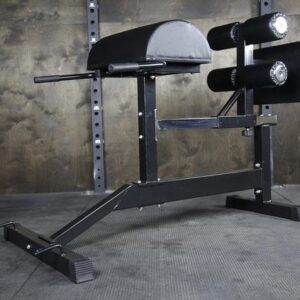 Fringe Sport Glute Ham Developer GHD Machine