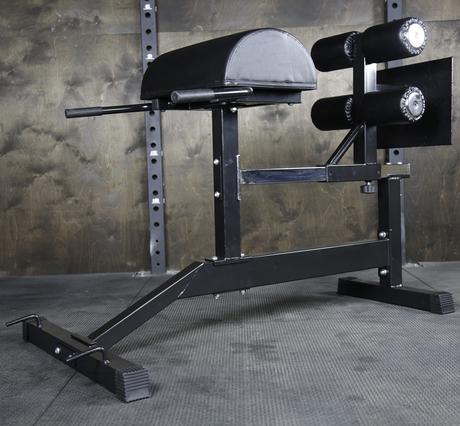 Fringe Sport Glute Ham Developer GHD Machine