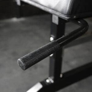 Fringe Sport Glute Ham Developer GHD Machine