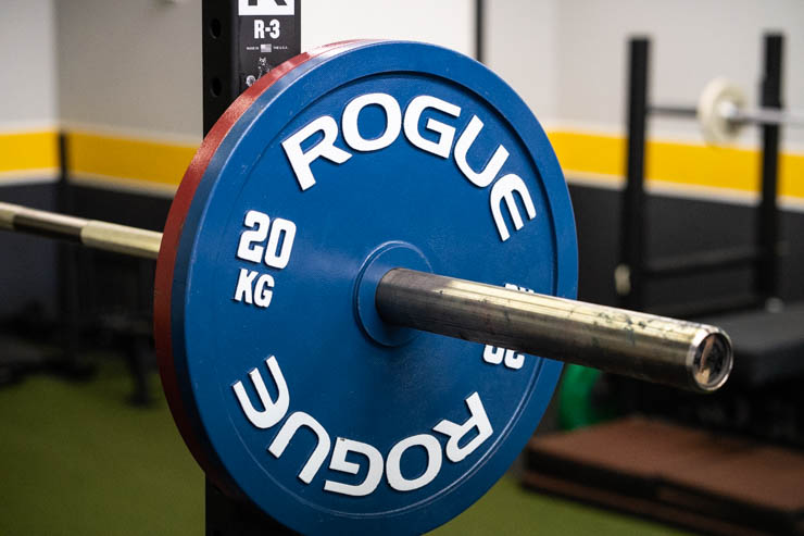 Competition Pair 10 KG -  BRAND NEW Rogue Fitness Calibrated Steel Plates 