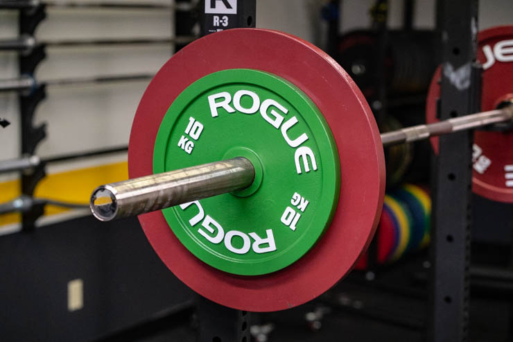 rogue Calibrated Steel Powerlifting Plates 