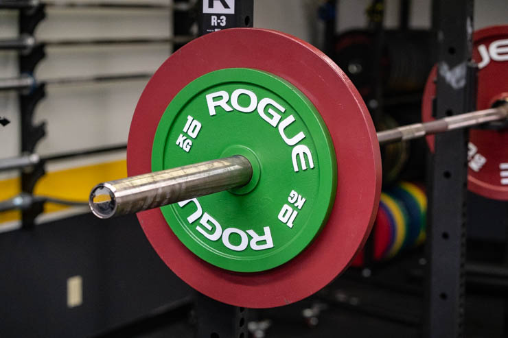 Rogue Calibrated Steel Powerlifting Plates Review 2024 | Garage Gym Reviews