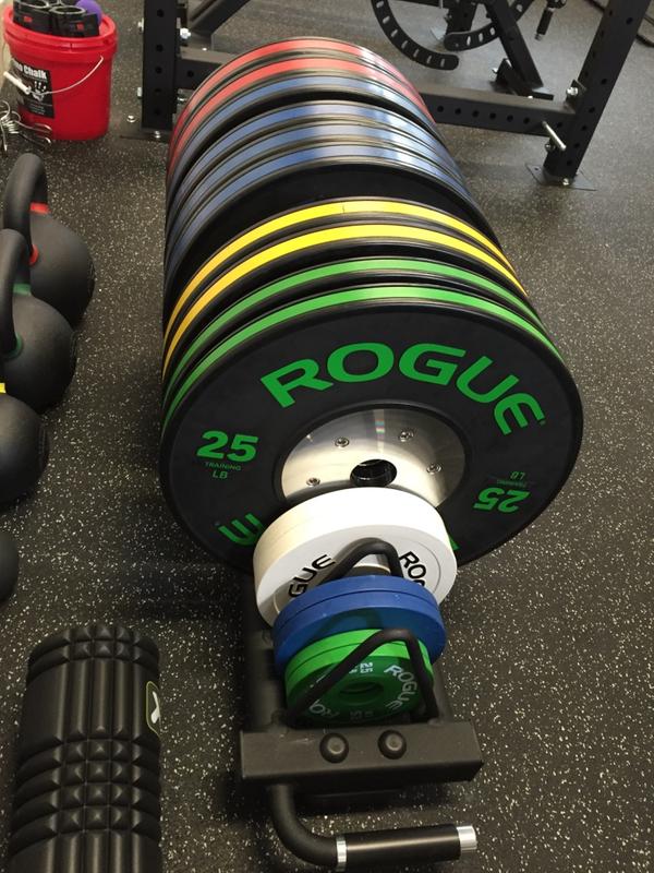 Rogue KG Black Training Bumper Plates