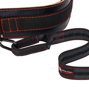 Dark Iron Fitness Leather Dip Belt