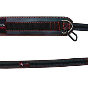 Dark Iron Fitness Leather Dip Belt