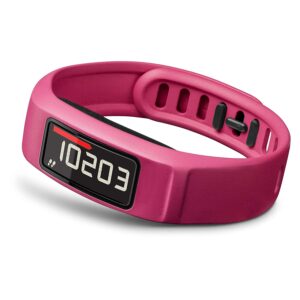 Garmin vivofit 2 Activity Tracker