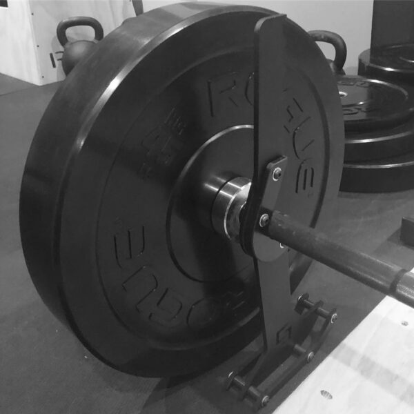 Rogue HG 2.0 KG Bumper Plates