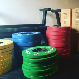 Rogue LB Competition Bumper Plates