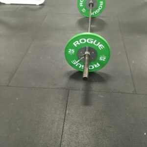 Rogue LB Competition Bumper Plates